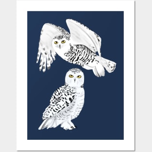 Snowy Owls Posters and Art
